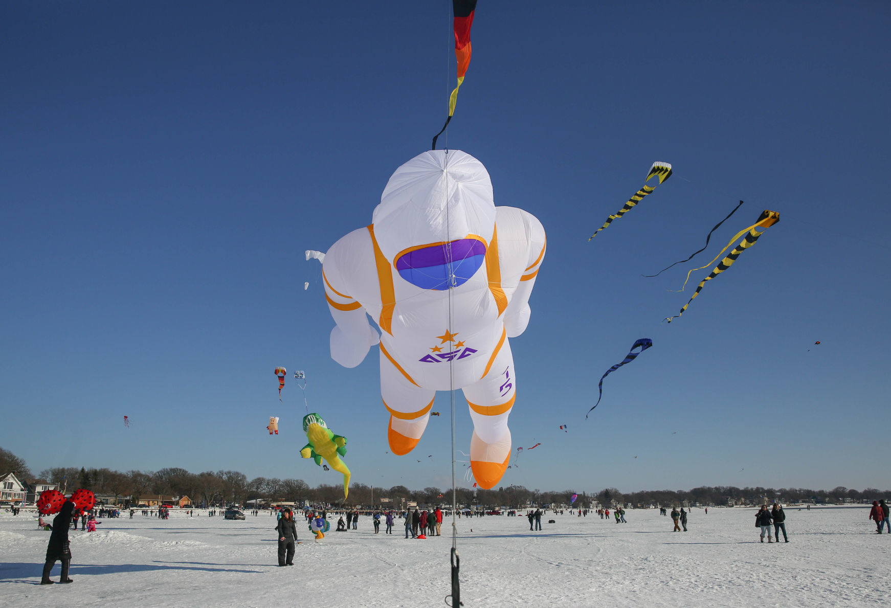 Color the Wind kite festival 02-15-2020 (44).jpg